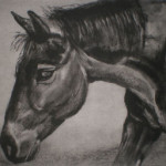 Fritz Filly II photogravure ©